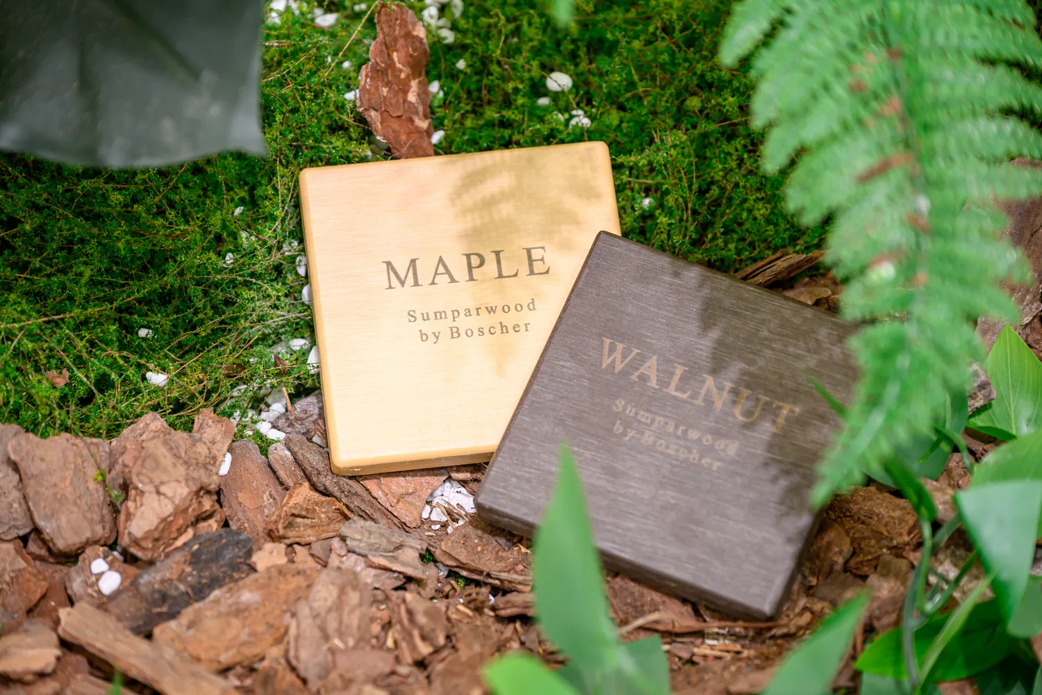 Labelled Maple and Walnut Sumparwood samples among exhibition greenery
