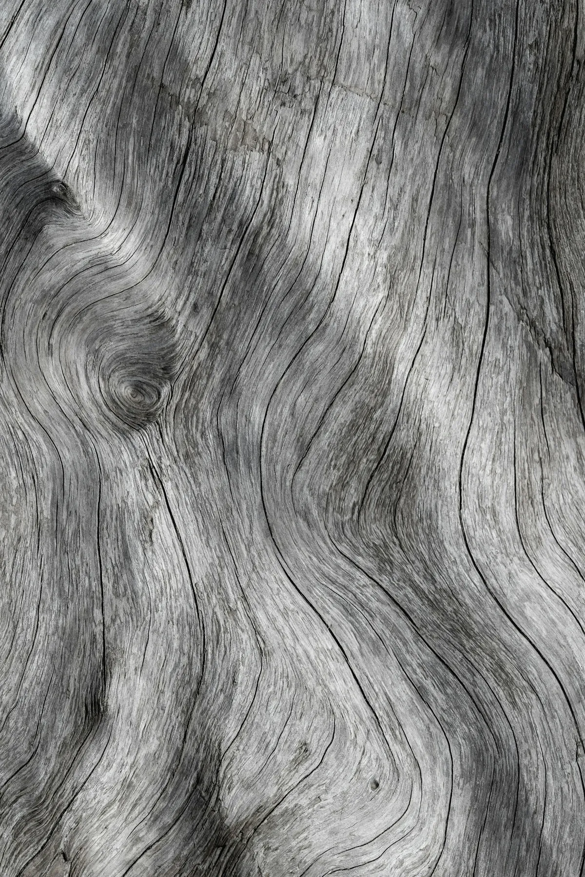 Close detail of irregular wavy grain in natural wood