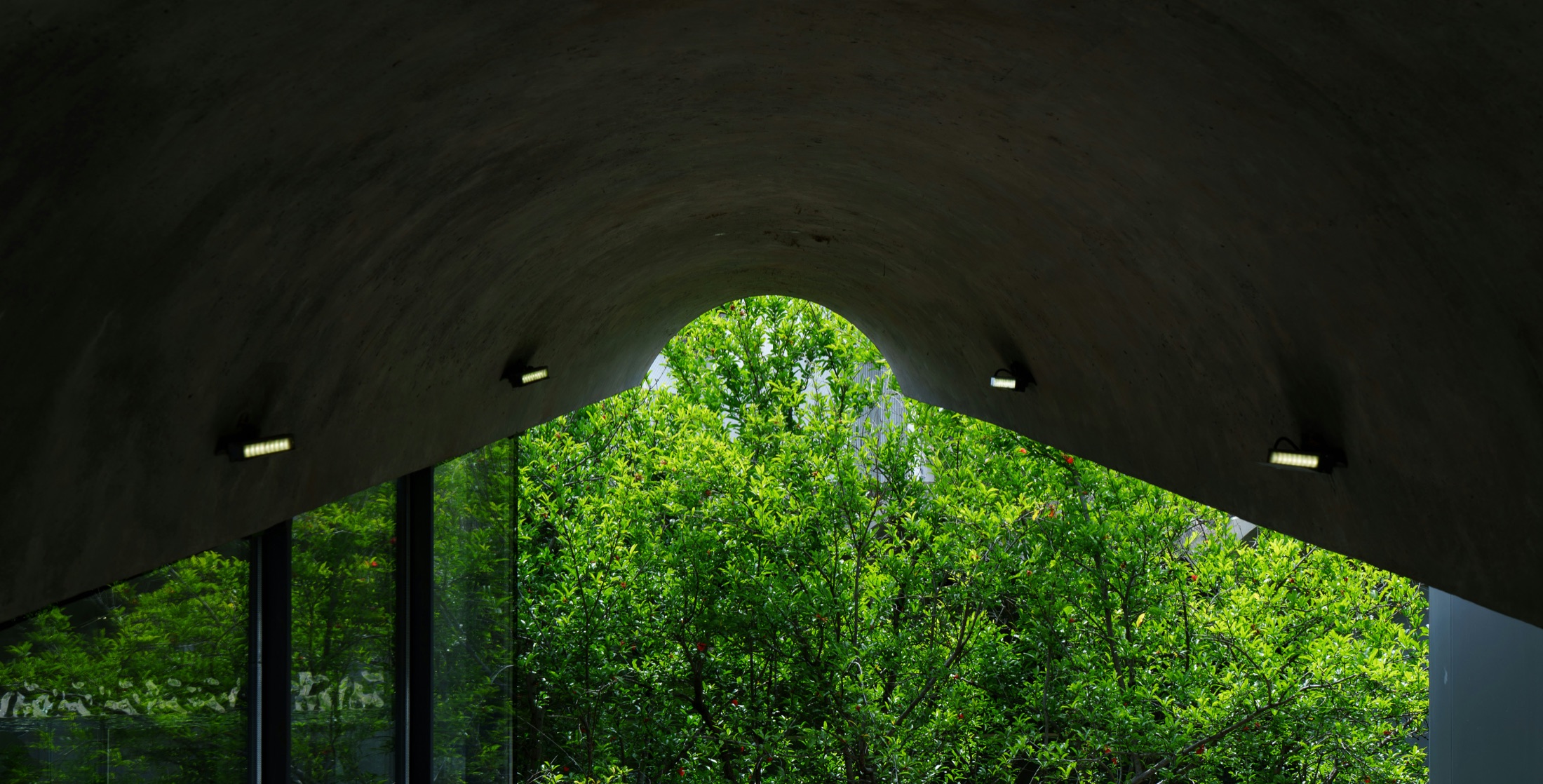 A dark curved concrete ceiling frames green trees through a large opening.